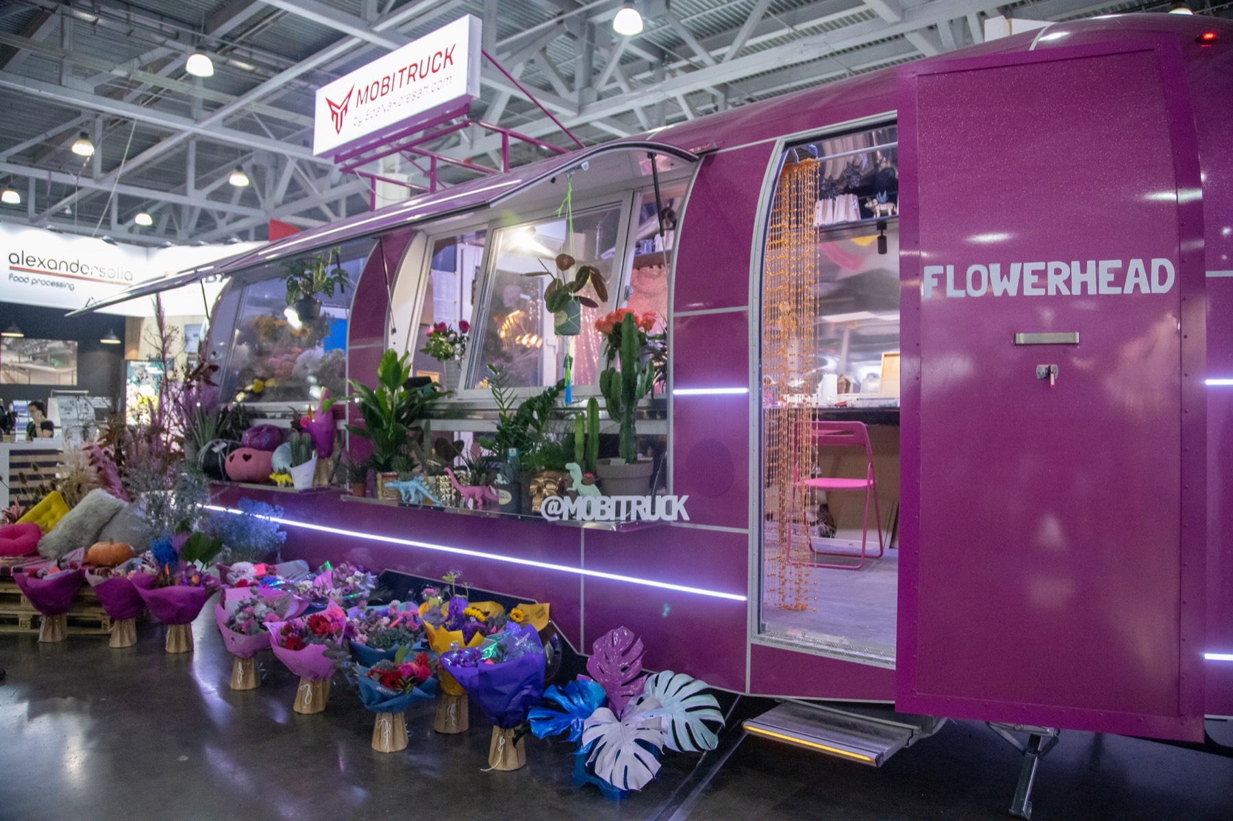 Flowerhead side entry, display counter and branded purple body