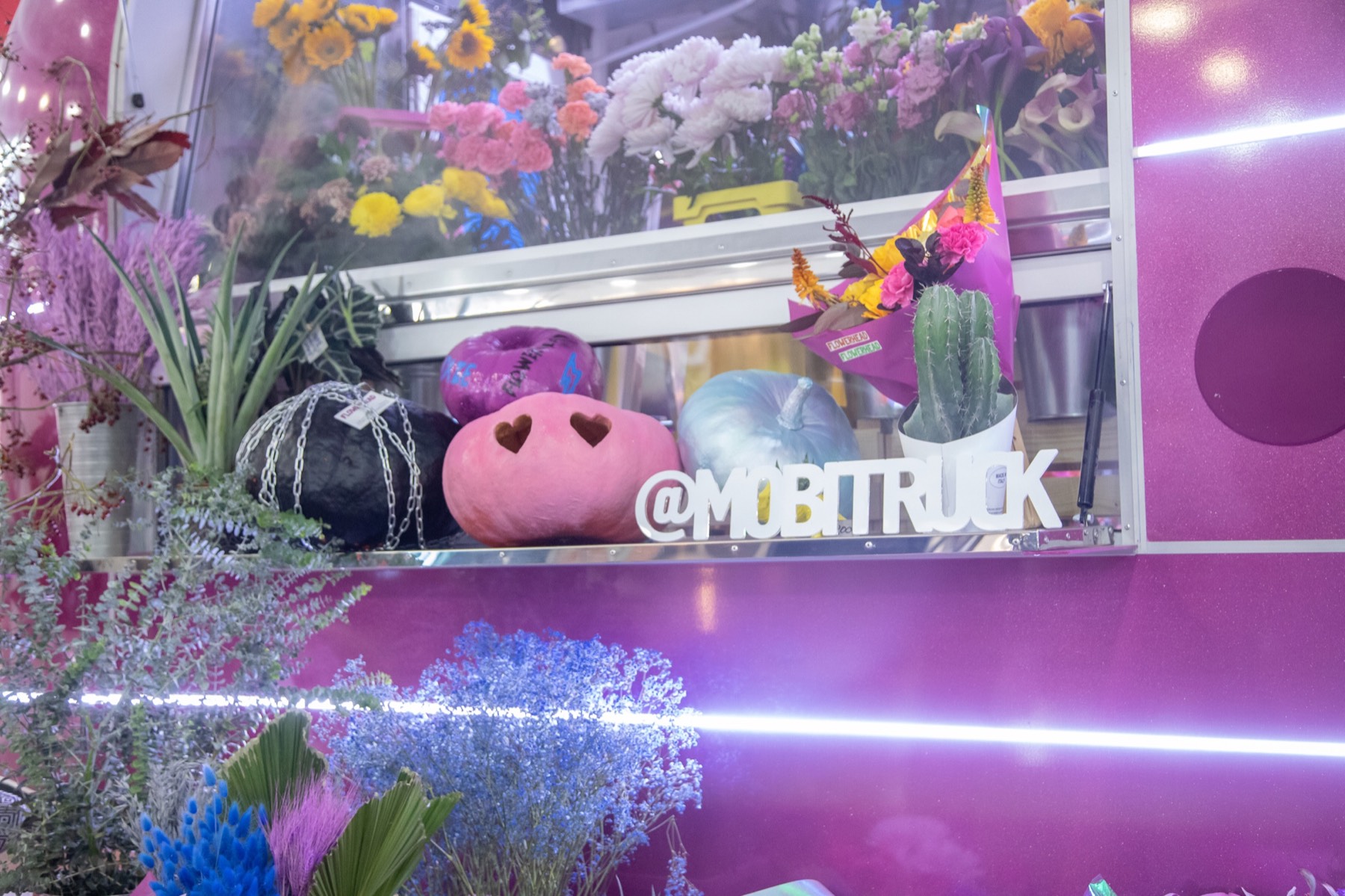 Close view of flowers, plants and decorative products in the Flowerhead display